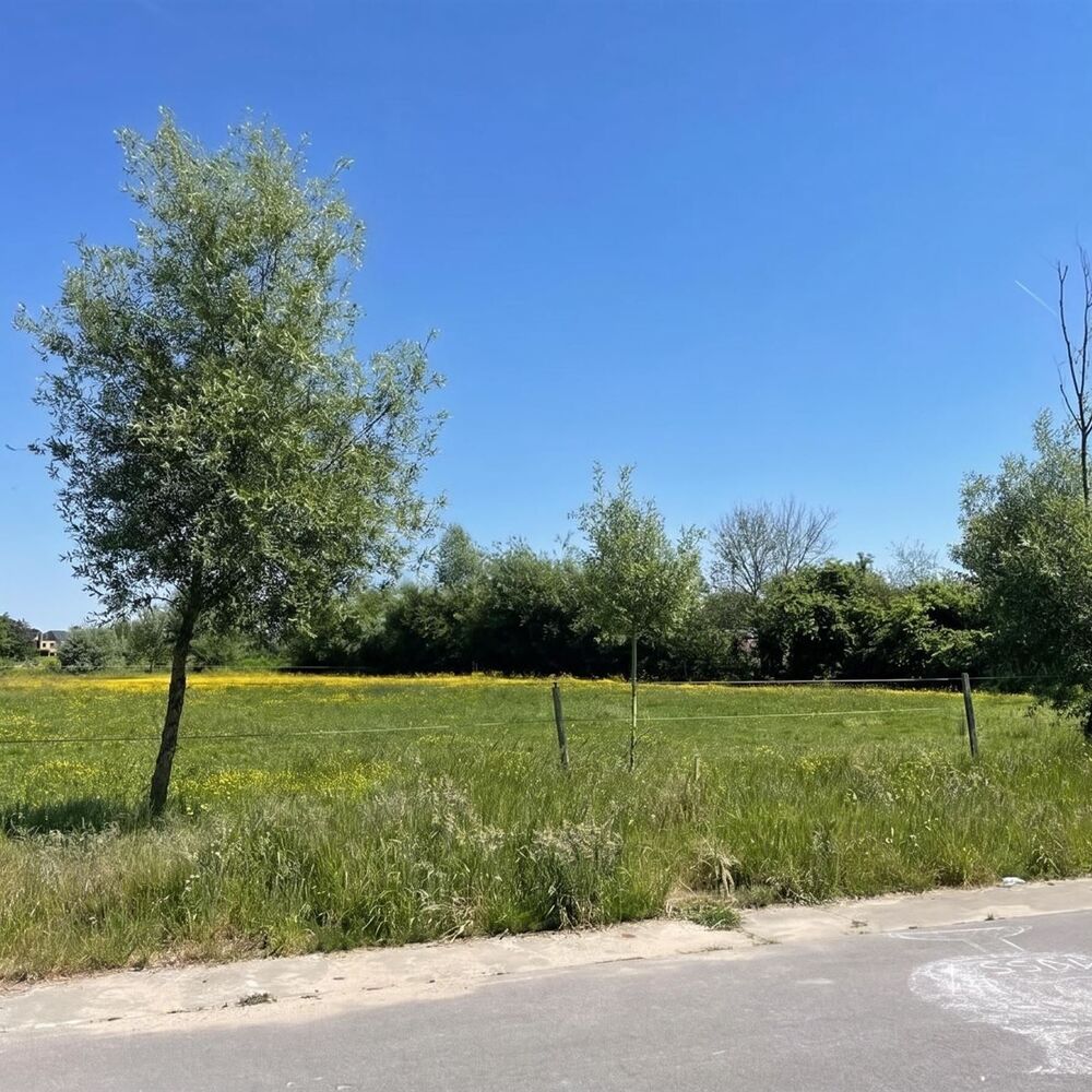 Bouwgrond te koop in BLAASVELD